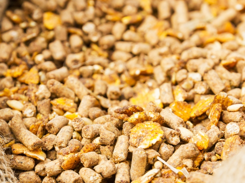 饲料&宠物食品真菌毒素测试